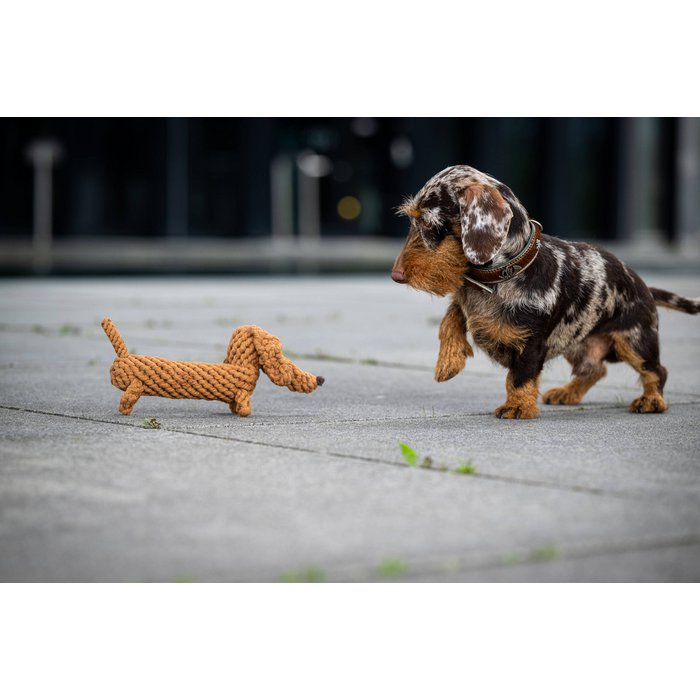 Diëgo's Teckel - Rope Toy