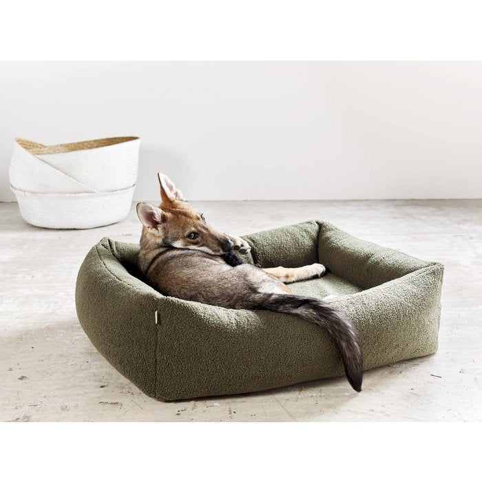 Orthopedisch Hondenbed Teddy - Groen