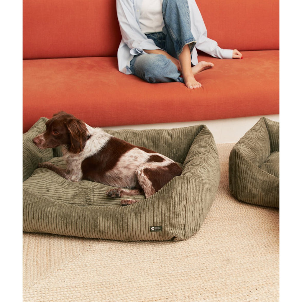 Soft Lounge Hondenbed - Rib Groen